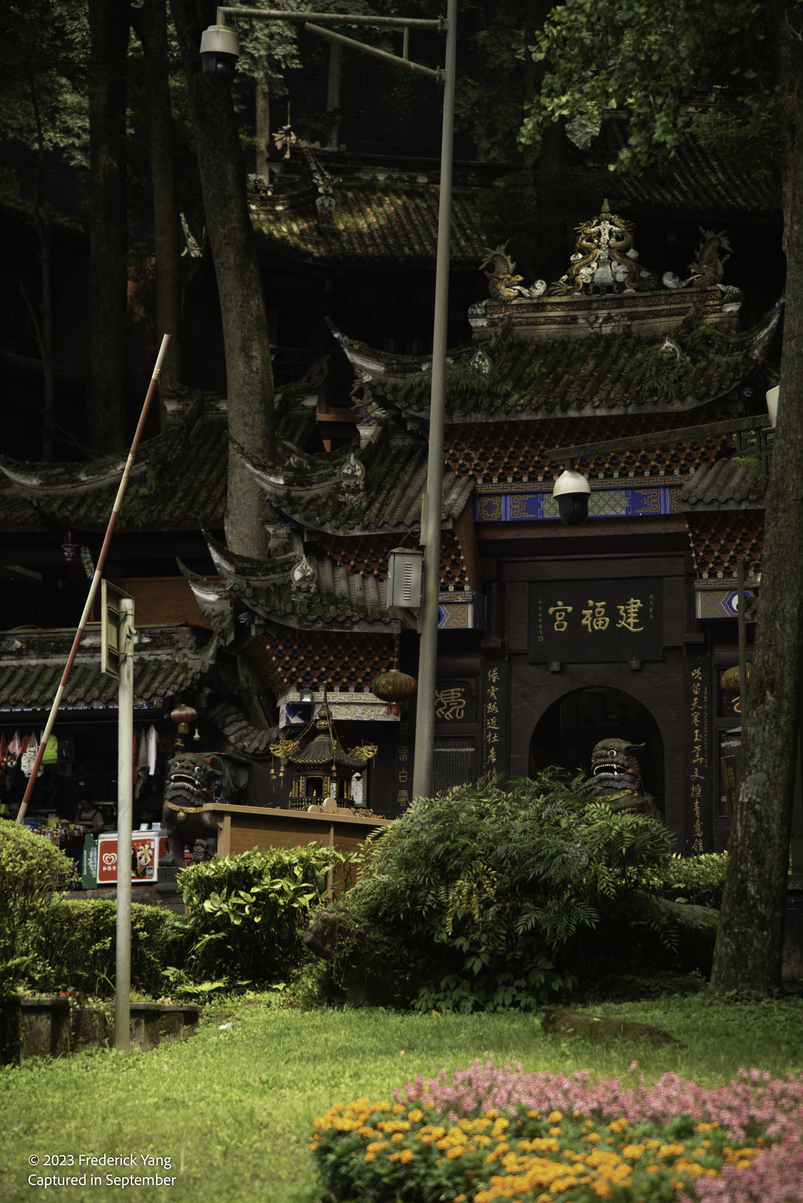 Mt Qingcheng-7627